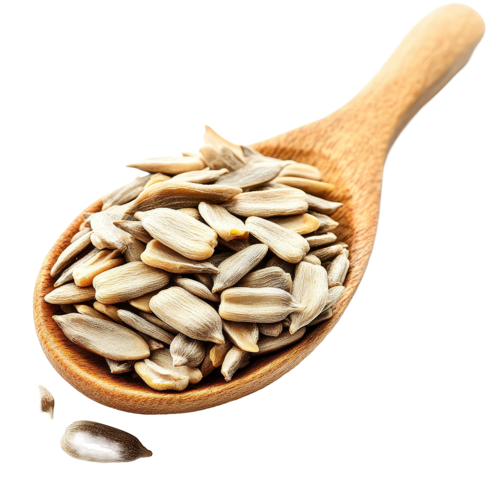 Premyum Select Sunflower Seeds 250g | Natural Energy Boost