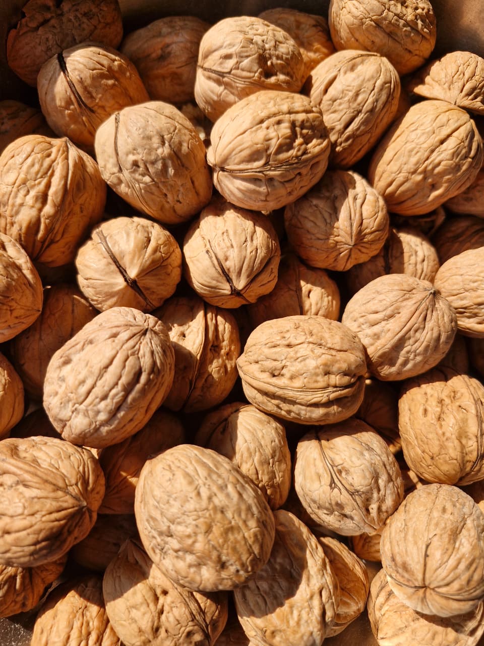 Premyum In-Shell Walnuts 250g | Shell-Sealed