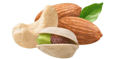 cashew-almond-pistachio-shell-green-600nw-2278258383-removebg-preview